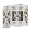 Two Chicks Sparkling Vodka Fizz 4-Pack